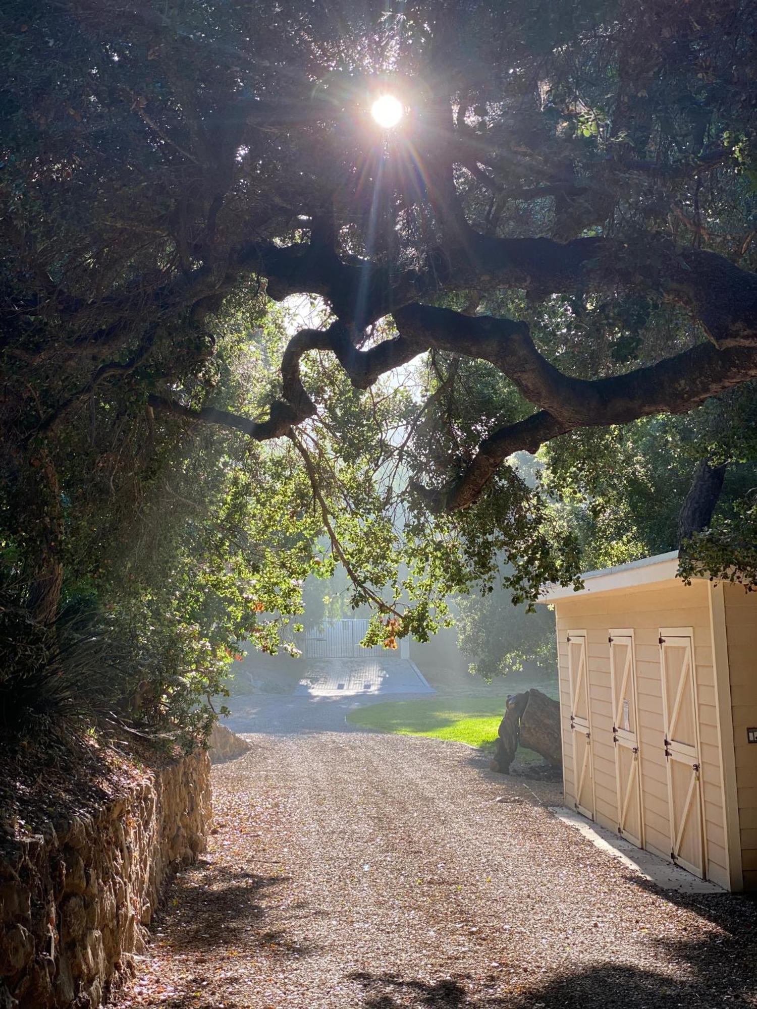 Malibu Ranch Guest House Hideway Exterior foto